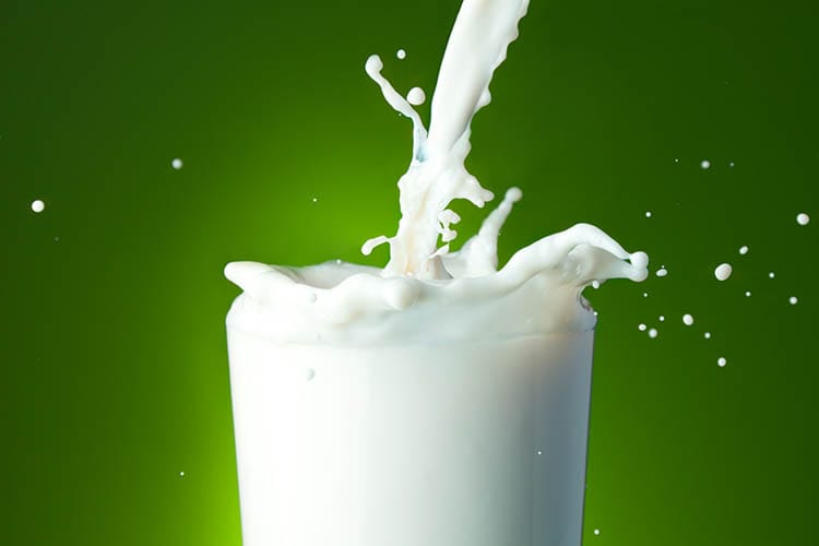 Día de la Leche